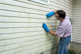 Best Custom Trim and Detailing for Siding  in , NH